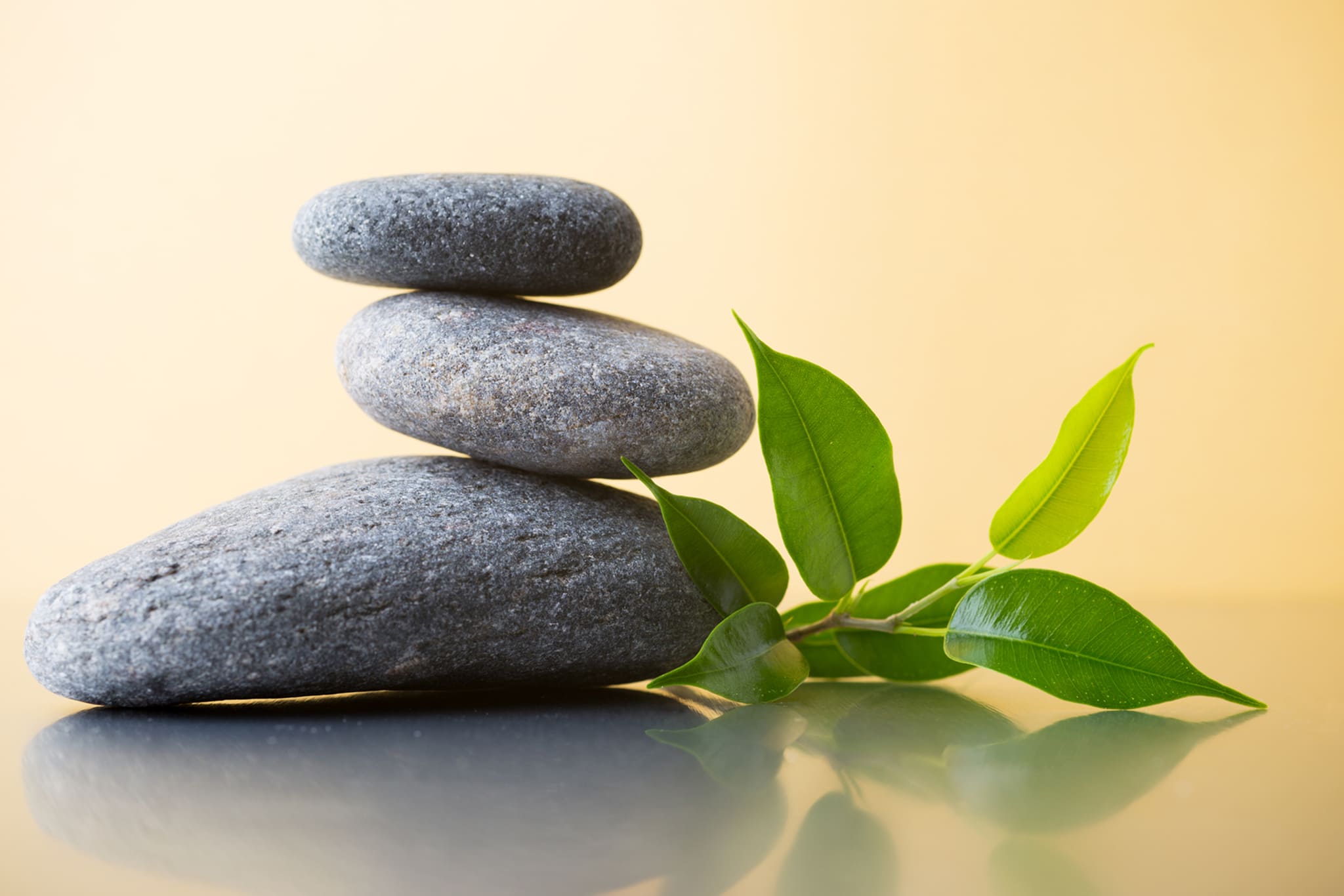 istockphoto-186104226-2048×2048-1 1